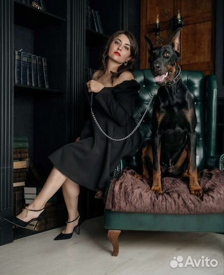 Фотосессия с доберманом