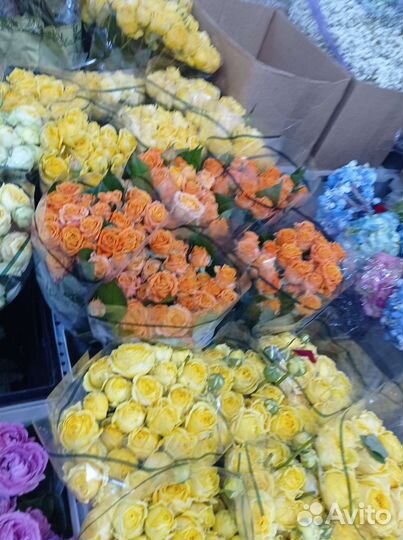 Кустовые розы