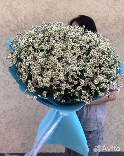 Доставка цветов. Ромашки