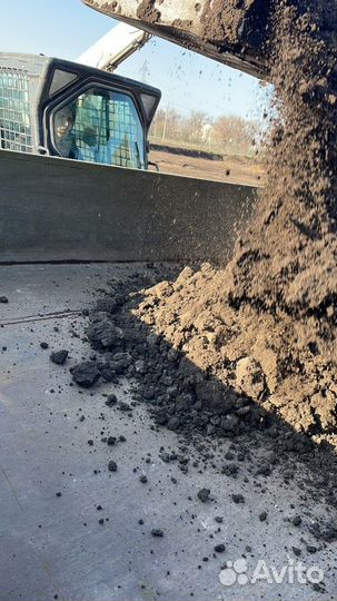 Чернозем (грунт, земля)