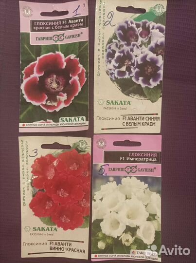 Глоксинии сортовые разные