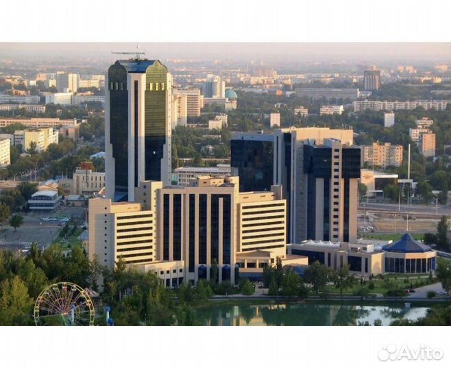 Свой человек в Ташкенте (Узбекистане)