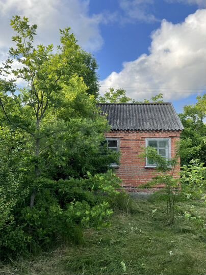 Дом 23 м² на участке 5 сот.