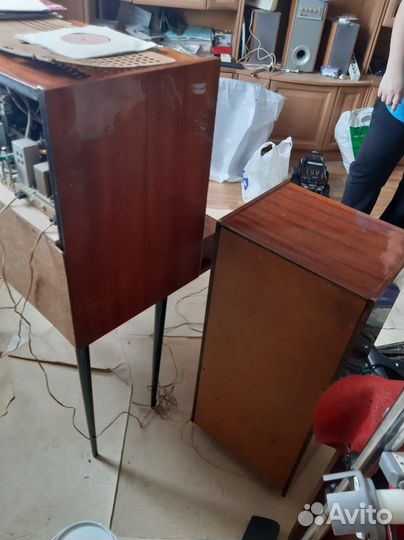 Родиола Симфония 003