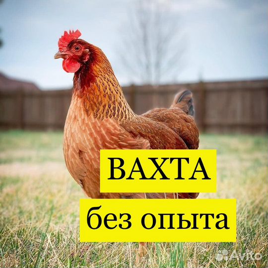 Вахта Фасовщик Питание+Жилье Аванс еженедельно