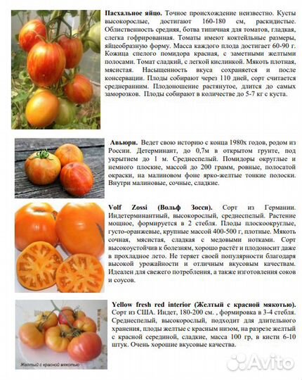 Томат Черная Красавица и другие семена Каталог