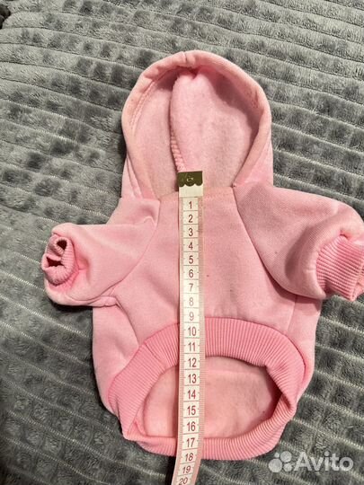 Одежда для животных