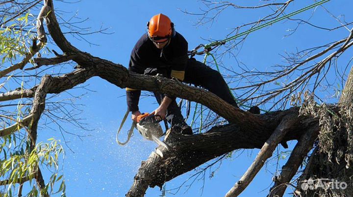 Уборка участка