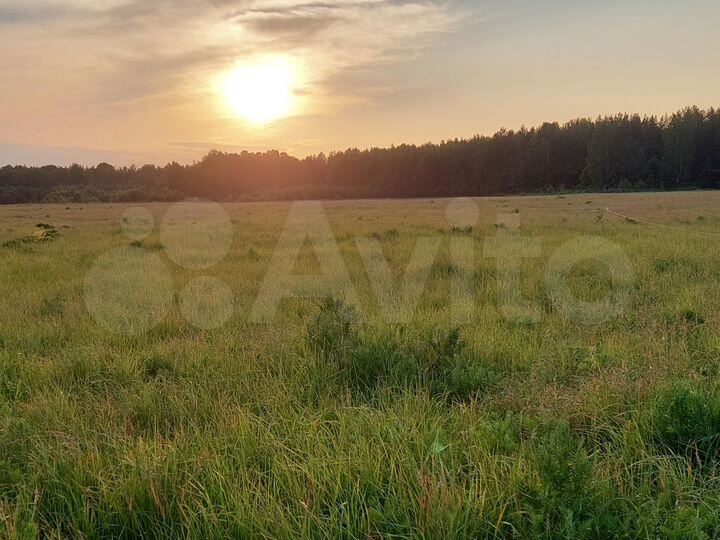 Участок 15 сот. (СНТ, ДНП)