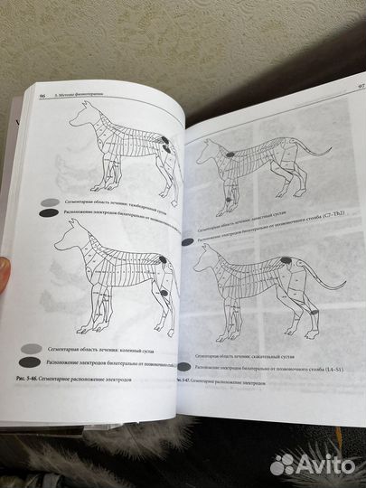 Книги по ветеринарии: по ортопедии и реабилитации