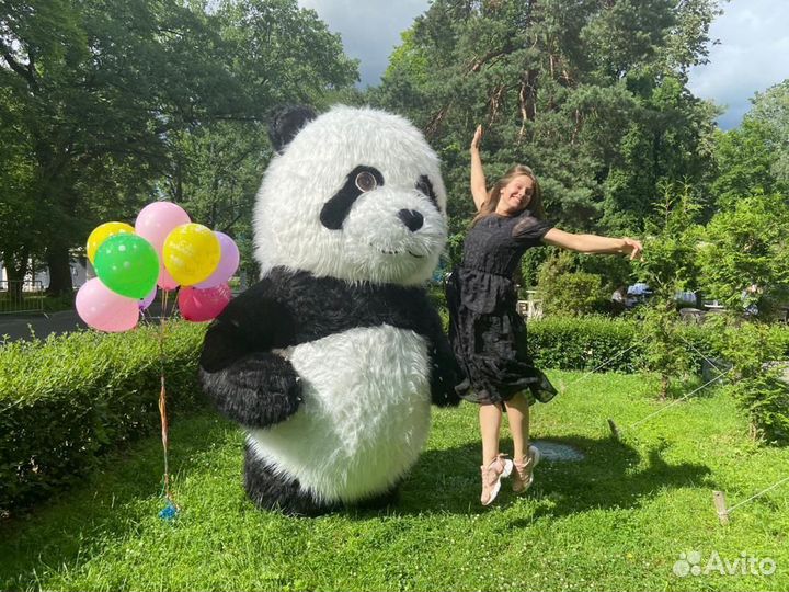 Аниматор / Белый Медведь / Ростовая Кукла