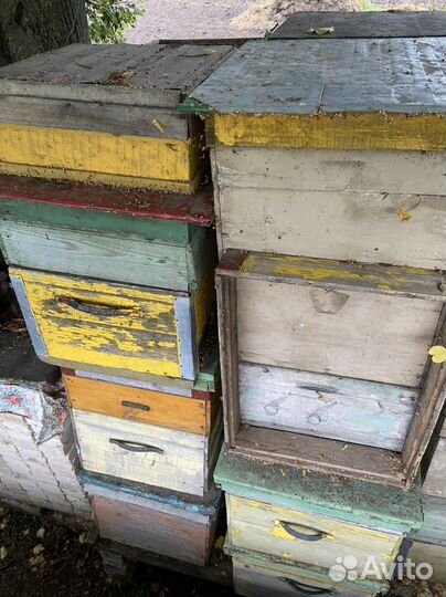 Ульи для пчел бу