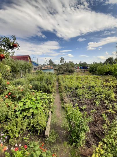 Участок 7 сот. (СНТ, ДНП)