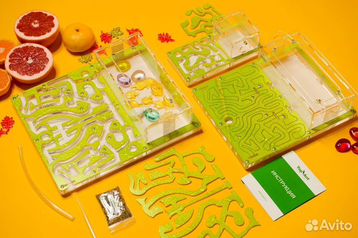 Муравьиная ферма / Формикарий