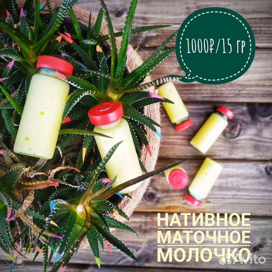 Маточное молочко нативное