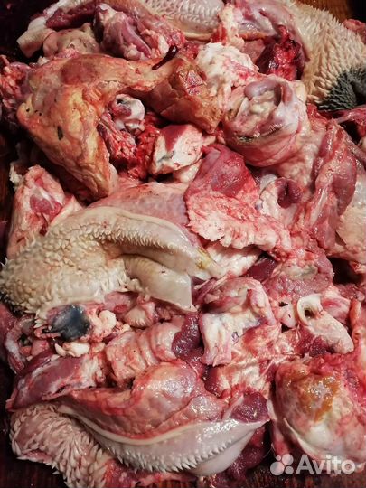 Обрезь с говяжьих голов для собак