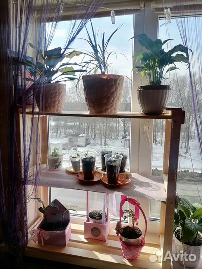 Полка для цветов