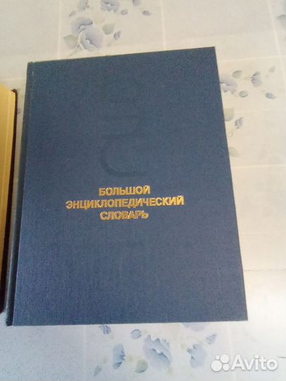 Большой энциклопедический словарь 2 тома