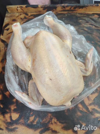 Мясо домашнего бройлера