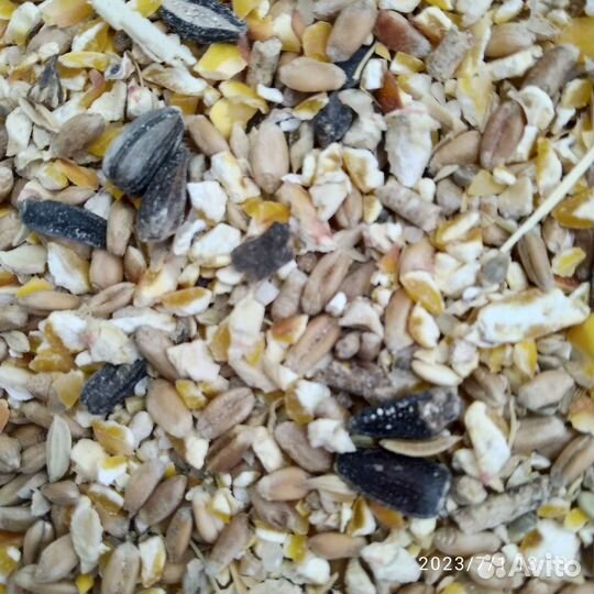 Комбикорм для кур несушек