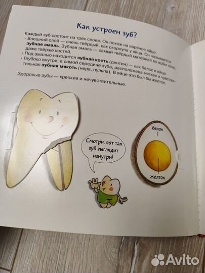 Зубная книга