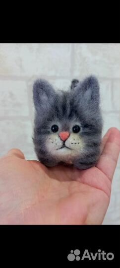 Котята шерстяные