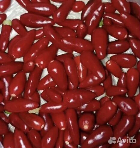 Декоративный перчик(острый)