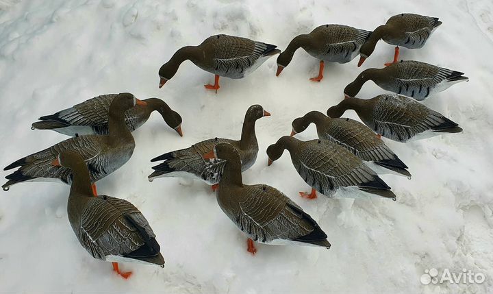 Новые чучела бeлoлoбых гуcей Sроrtplast LC940 Pro