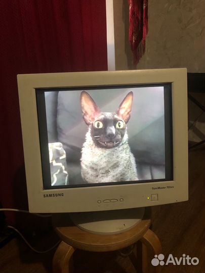 Монитор samsung syncmaster 753DFX