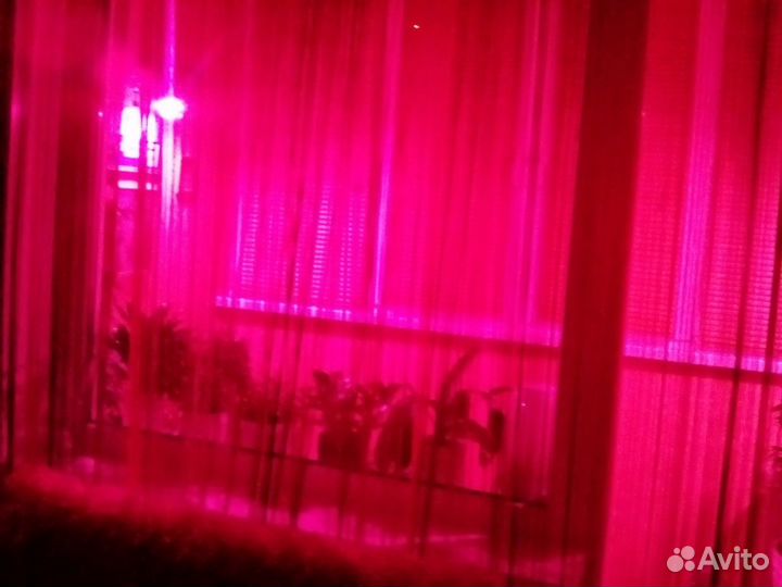 Фитолампа для растений фитолето uniel LED-A60-15W