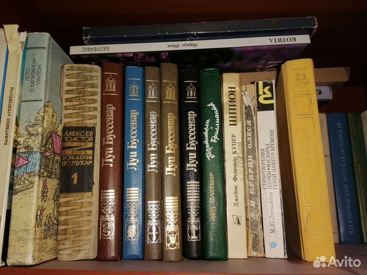 Луи буссенар