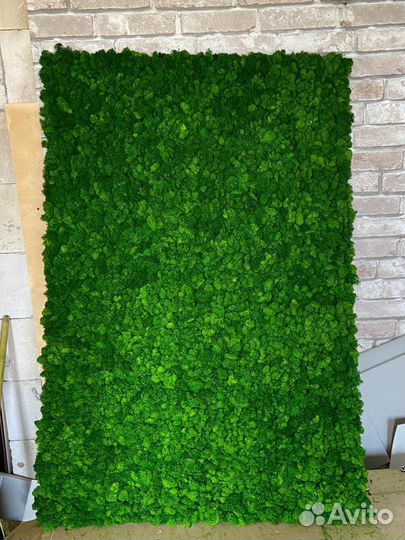 Мох стабилизированный оптом и в розницу