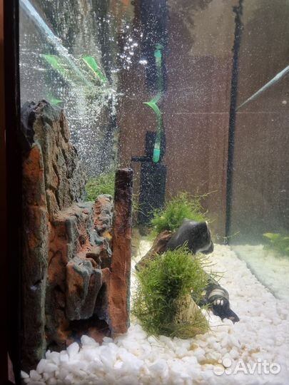 Аквариум с тумбой juwel