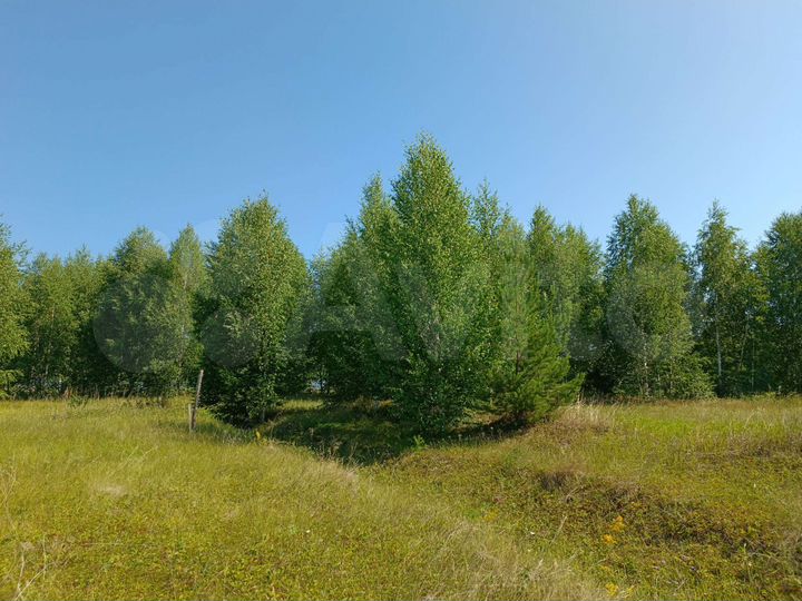 Участок 10 сот. (ИЖС)