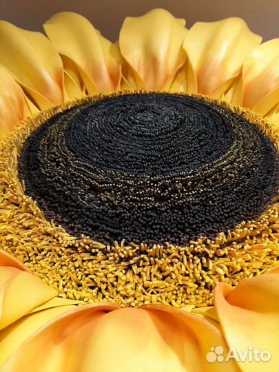 Интерьерные цветы