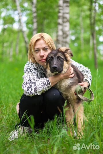 Щенку очень нужен дом