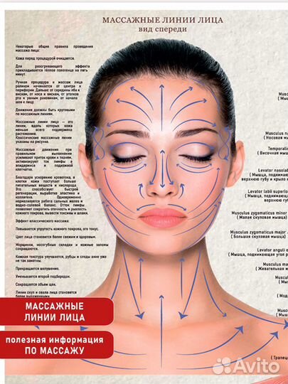 Постер по массажу лица 70х50см