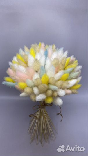 Букет из сухоцветов