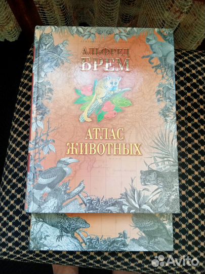 Книги Альфред брем