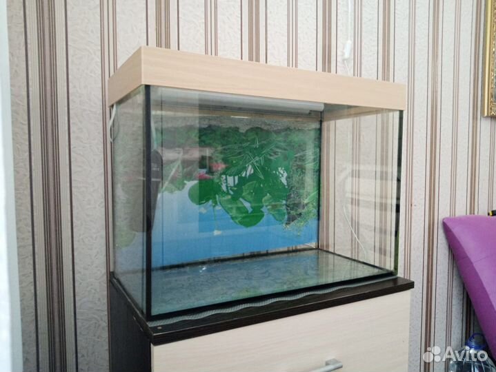 Аквариум с тумбой