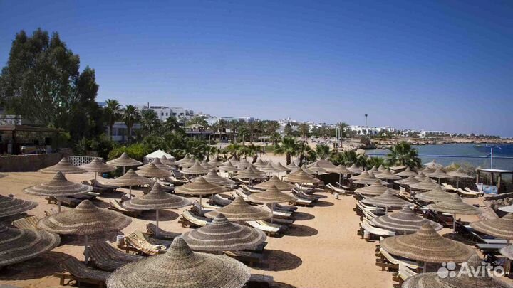 Новый год в Египте Подборка туров