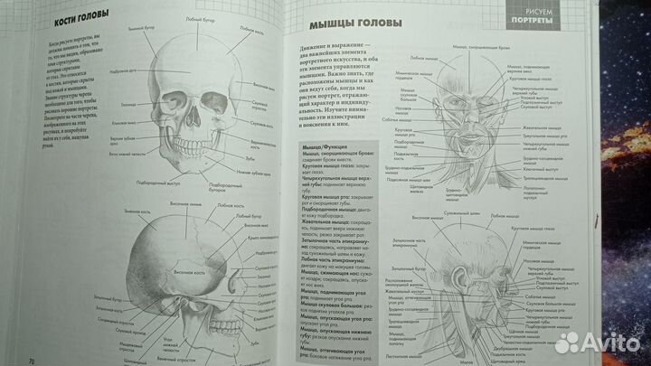 Книга по рисованию Рисуют всё