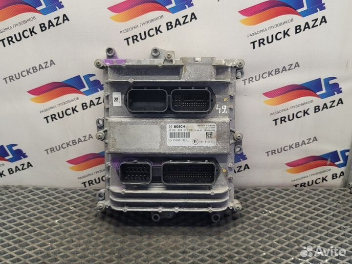 0281020273 Блок управления двигателем