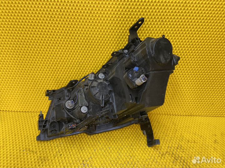 Комплект фар галоген infiniti M M35 M45 Y50