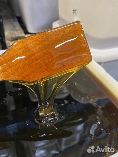 Мед оптом. Мед липовый