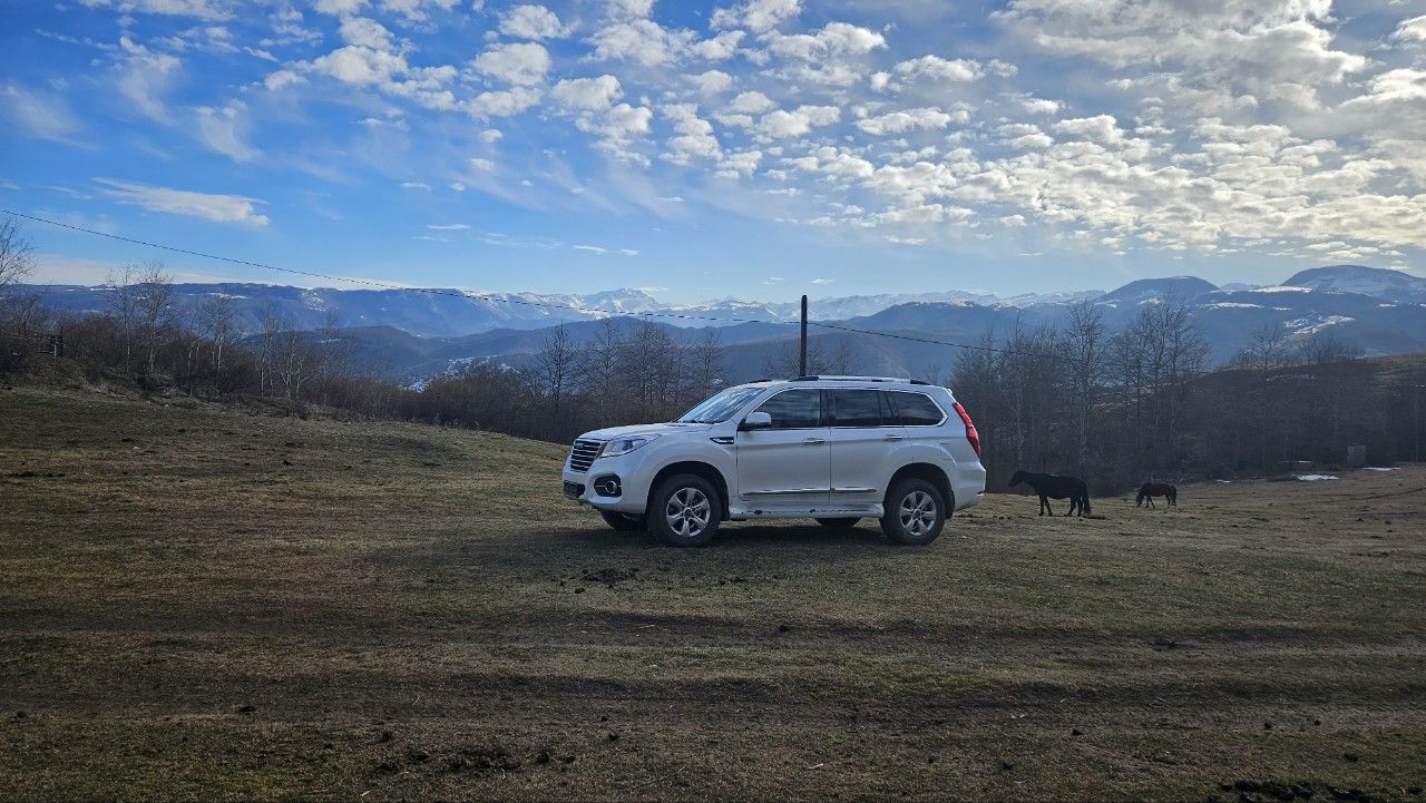 HAVAL H9