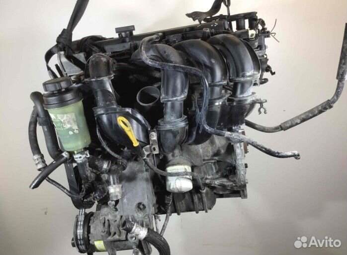 Двигатель Hwda Ford Focus 1.6 бензин