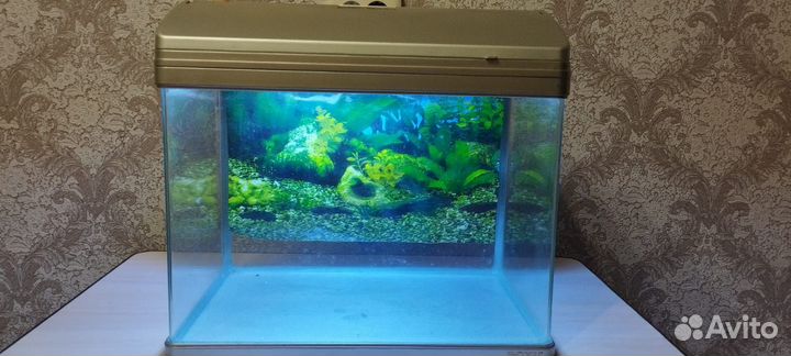 Аквариум с подсветкой 25 литров