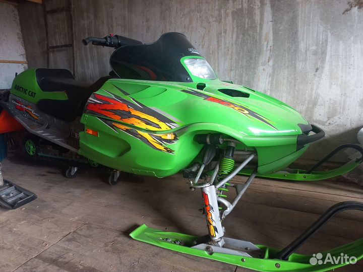 Arctic cat