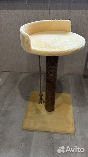 Когтеточка для кошек